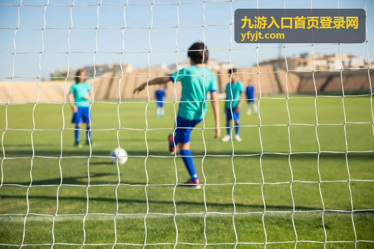 九游入口首页登录网客户端与版本安装升级流程示意